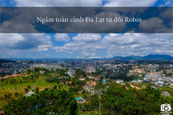 nhung-trai-nghiem-khong-the-bo-qua-dip-304-tai-da-lat-6