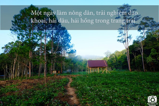 nhung-trai-nghiem-khong-the-bo-qua-dip-304-tai-da-lat-9