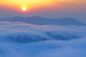 da lat suong som 9
