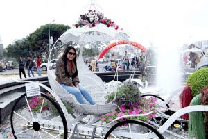 Sac mau ruc ro o le hoi Hoa Da Lat 7
