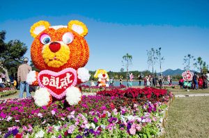 muon sac hoa festival 5