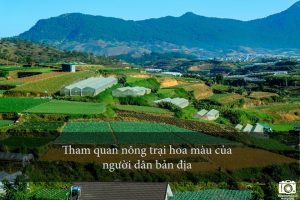 nhung trai nghiem khong the bo qua dip 304 tai da lat 4