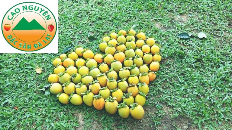 hồng giòn đà lạt