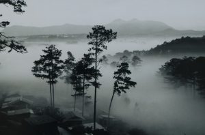mot da lat mong mo va tao nha qua anh tu lieu 1