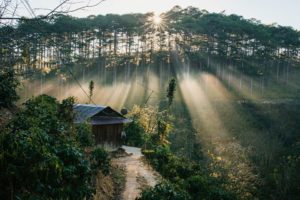 co mot da lat rat tinh cho nhung chuyen phieu du 2