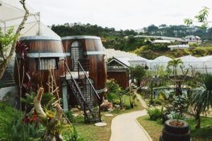 khu homestay hinh thung ruou doc dao o da lat 1