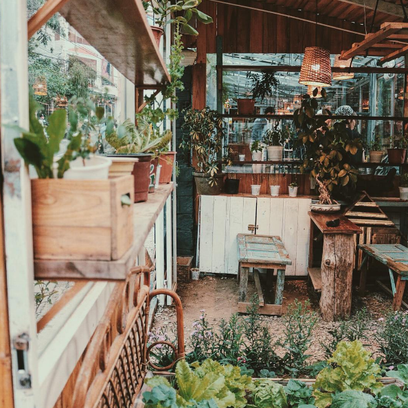 cam-nang-quan-cafe-dep-tai-da-lat-31