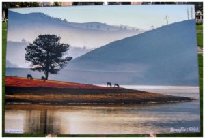 75 buc tranh dep ve chu de khoanh khac da lat 6