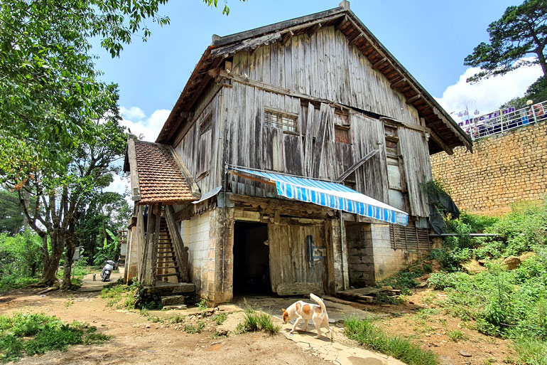 di-san-da-lat-trong-con-loc-do-thi-hoa-4