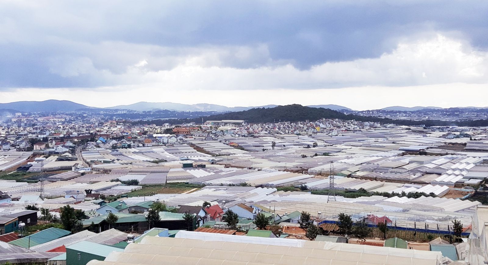 di-san-da-lat-trong-con-loc-do-thi-hoa-5