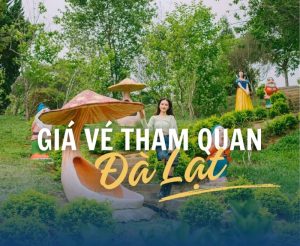 gia ve tham quan da lat
