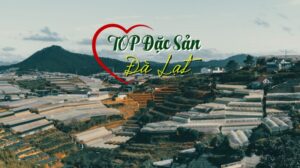 top dac san 3