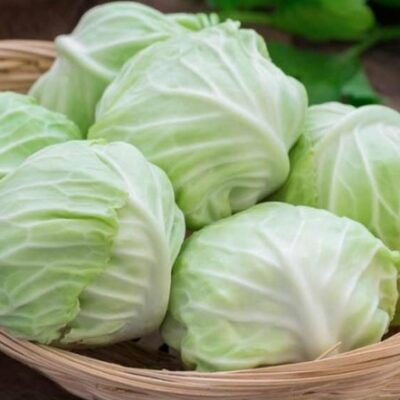 Bap cai trang dalavi 2