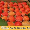 Dâu tây Đà Lạt giống Nhật