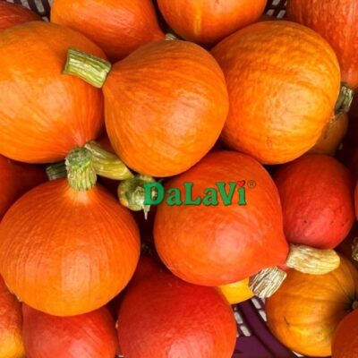 Bí giọt nước