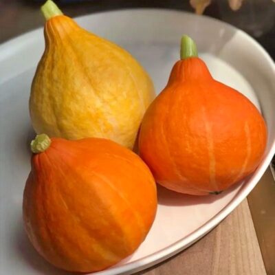 Bí giọt nước 5 bi giot nuoc 3