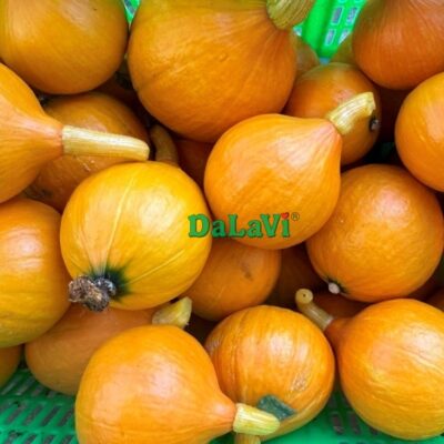 Bí giọt nước 4 bi giot nuoc