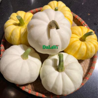 Bí Hoàng Gia 6 bi hoang gia 5
