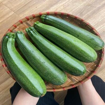 Bí ngòi Đà Lạt 3 bi ngoi dalavi 2