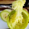Bí sợi mì