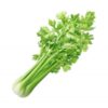Cần tây Đà Lạt