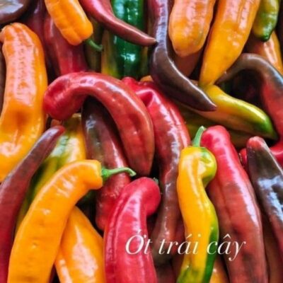 Ớt trái cây Sweet Palermo